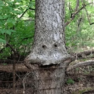 😄