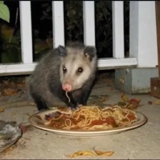 🍝