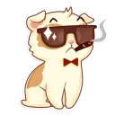 😎