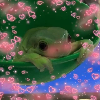 ❤️