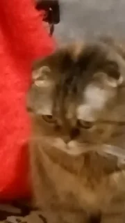 🤨