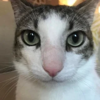 😕
