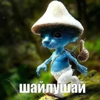 😎