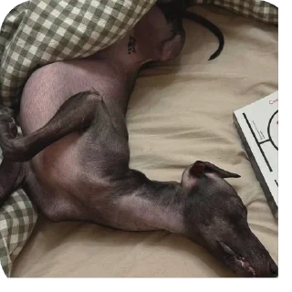 😴