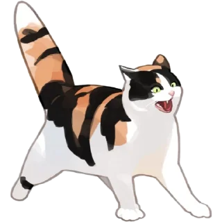 🙀
