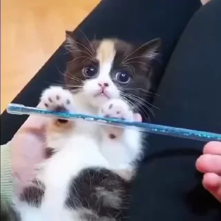 ☺️