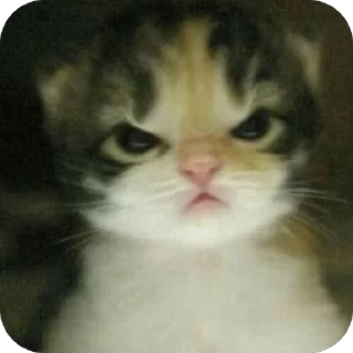 🫥