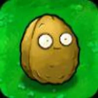 🌰