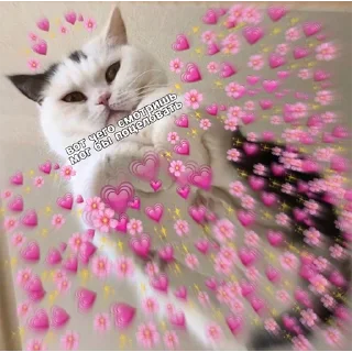 💕