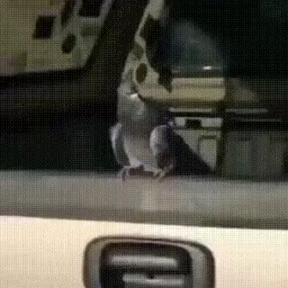 😵