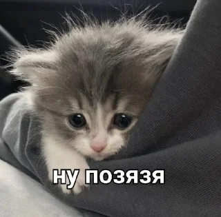 🥺