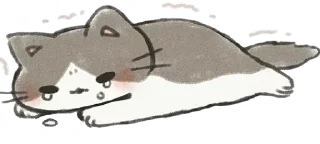 😿