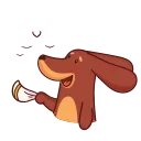 👋