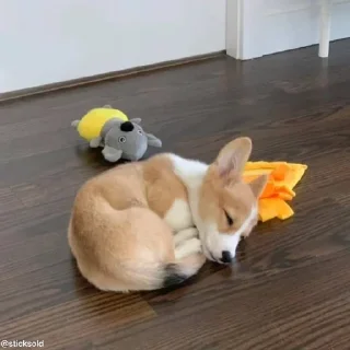 😴