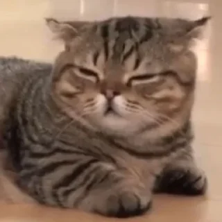 😑