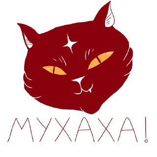 😼