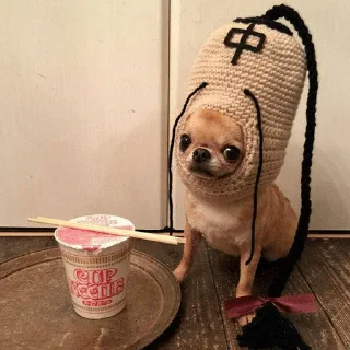 🐕