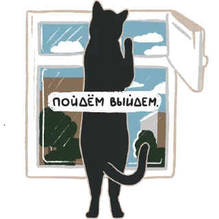 🐈