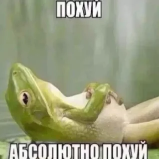 🥲
