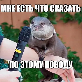 🎙