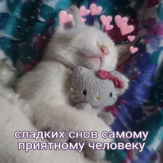 😴