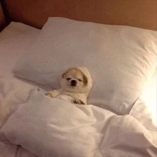 ☹️