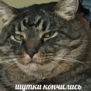 🧐