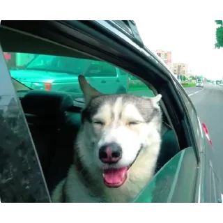 👍