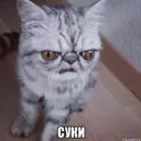 😡