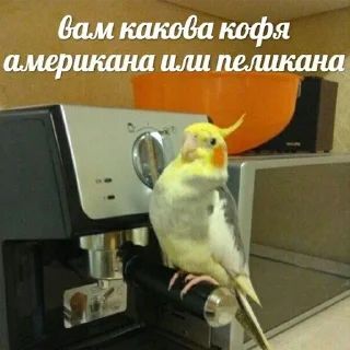 ☕️