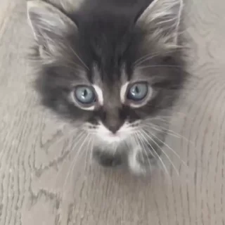 😇