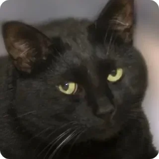 😒