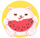 🍉