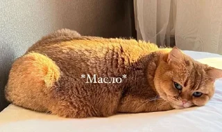 🍞