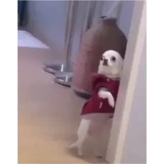 ☺️