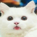 😛