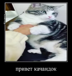 👋