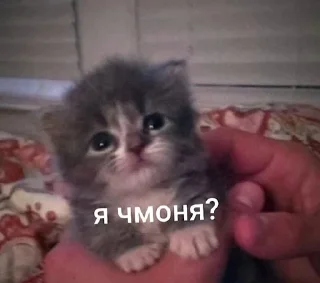 😊