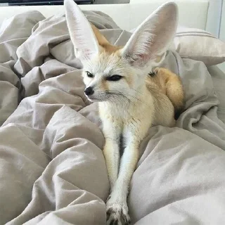 😑