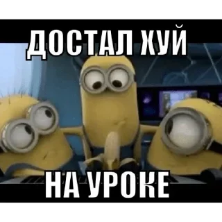 😎