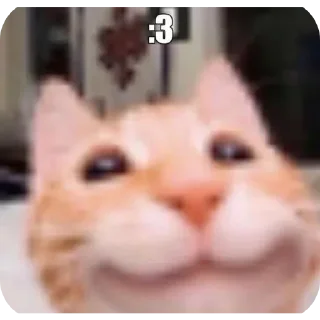 😏