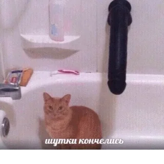 😠