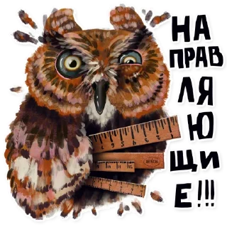 🦉