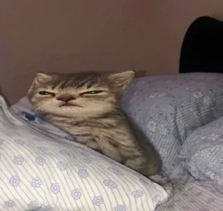 😑