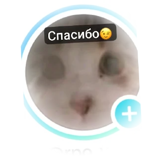 🤲