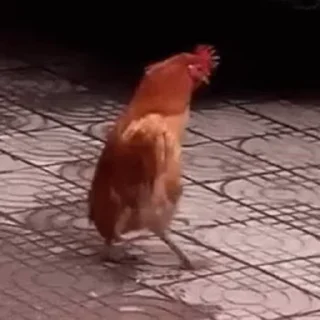 😁