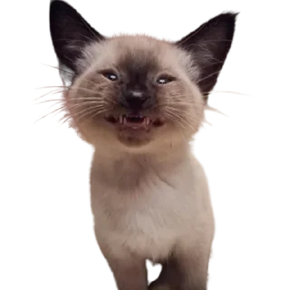 😊