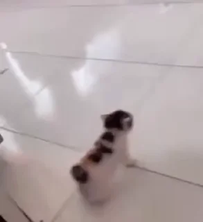 🥳