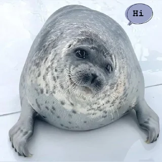 👋