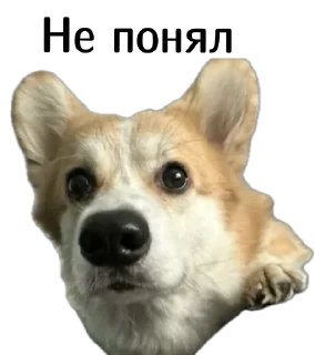 ❓